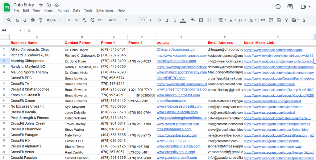 Data entry and online research spreadsheet sample